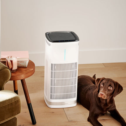 Cuisinart PuRXium Freestanding HEPA Air Purifier CAP-1000 - Certified Refurbished