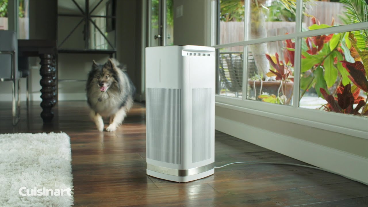 Freestanding HEPA Air Purifier-Certified Refurbished